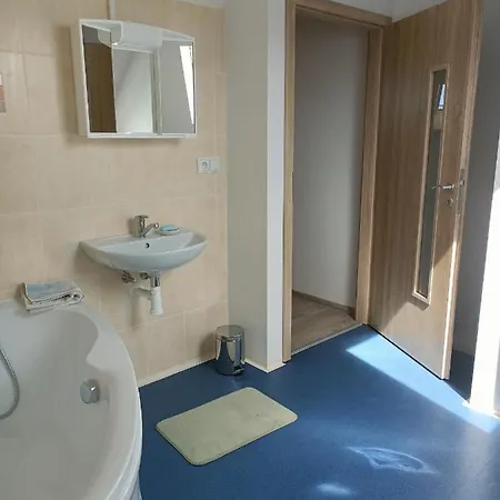 U Olsinske Kaplicky Horní Planá